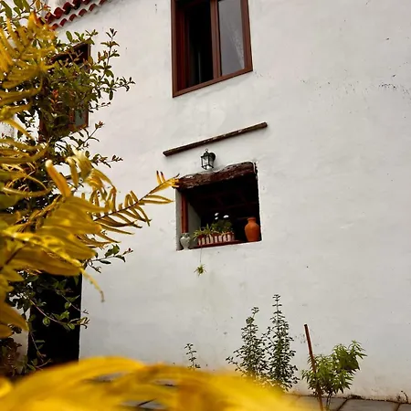 La Bodega. * Tacoronte